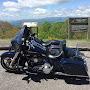 @toads_ride845