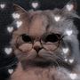 @Daria-cw9kk