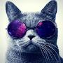 @spiritcat82
