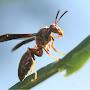 @BugTypeTrainer