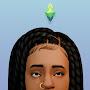 @symplesims