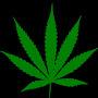 @devinatorbros4205