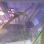 @Alien-1lol