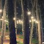 @코란도족