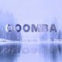 @goomba337
