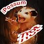 Possum__Trot