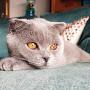 @leventdemirkucukfiliz3792