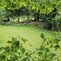 @hohosgarden