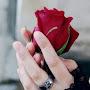 @abdullohabdurimov4537