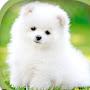 @386Jeevithasudharshan