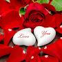 @nasernasery7183
