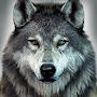 @samweirich5973