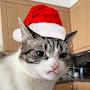 @IntrnetCat