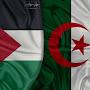 @محمداسلام-ز7ه