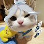 @user-ug4xr4ml7w