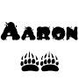 @aaronmusictv475