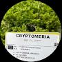@CryptoGeek1981
