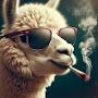 @DatDamnLlama