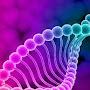 @telomere2776