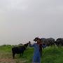 @MushakaliLeghari