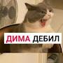 @МихаилПокацкий-з3в
