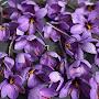 @gulnar_ile3384