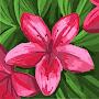 @hawamohamed9979