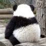 @weiweiyu6982