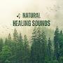 @NaturalHealingSounds-01