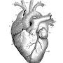 @CardioMDSPb