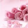 @أسماءقاسم-عواد