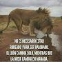 @nacionalista4348