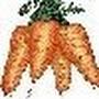 @eyeLikeCarrots