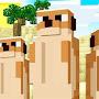 @Field-Meerkat