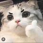 @Quang16069