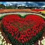 @robinbasumatary9892