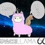 @spacellama6637