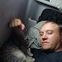 @ДенисВасин-и1р