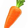 @carrot-k7n