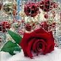 @استراحةاليوتيوب