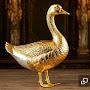 @Goose-298
