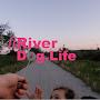 @RiverDogLife