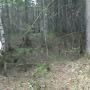 @коляиванов-т2у