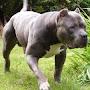 @ZeusBullyMax