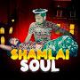 @shamlaisoul