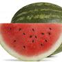 @Halal_Melon