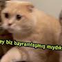 @brawlstarssuzmani