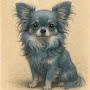 @rivertheteacupchihuahua