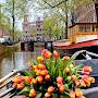 @lalehsoltani6080