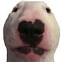 @timc.2990